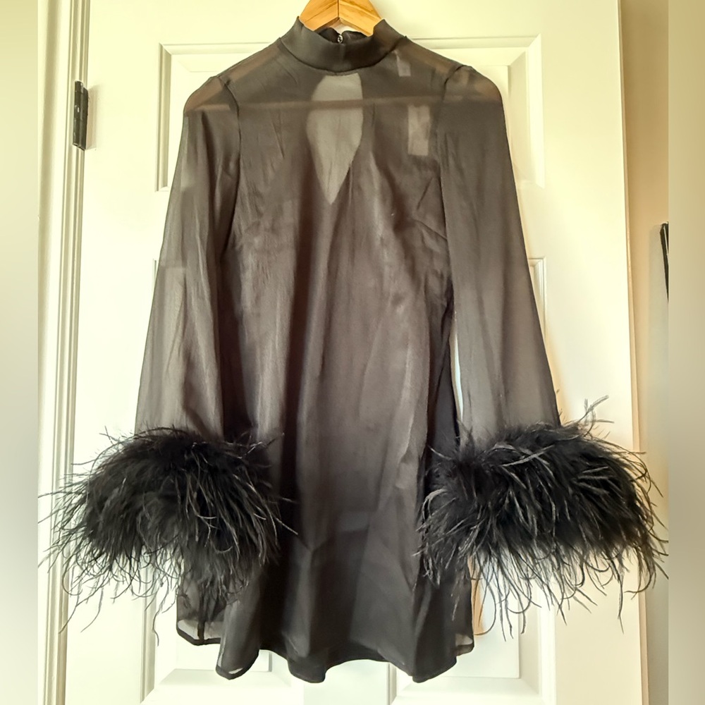 Anthropologie Hutch Long-Sleeve Turtleneck Faux-Feather Trim Sheer Mini Dress XS - Picture 8 of 12